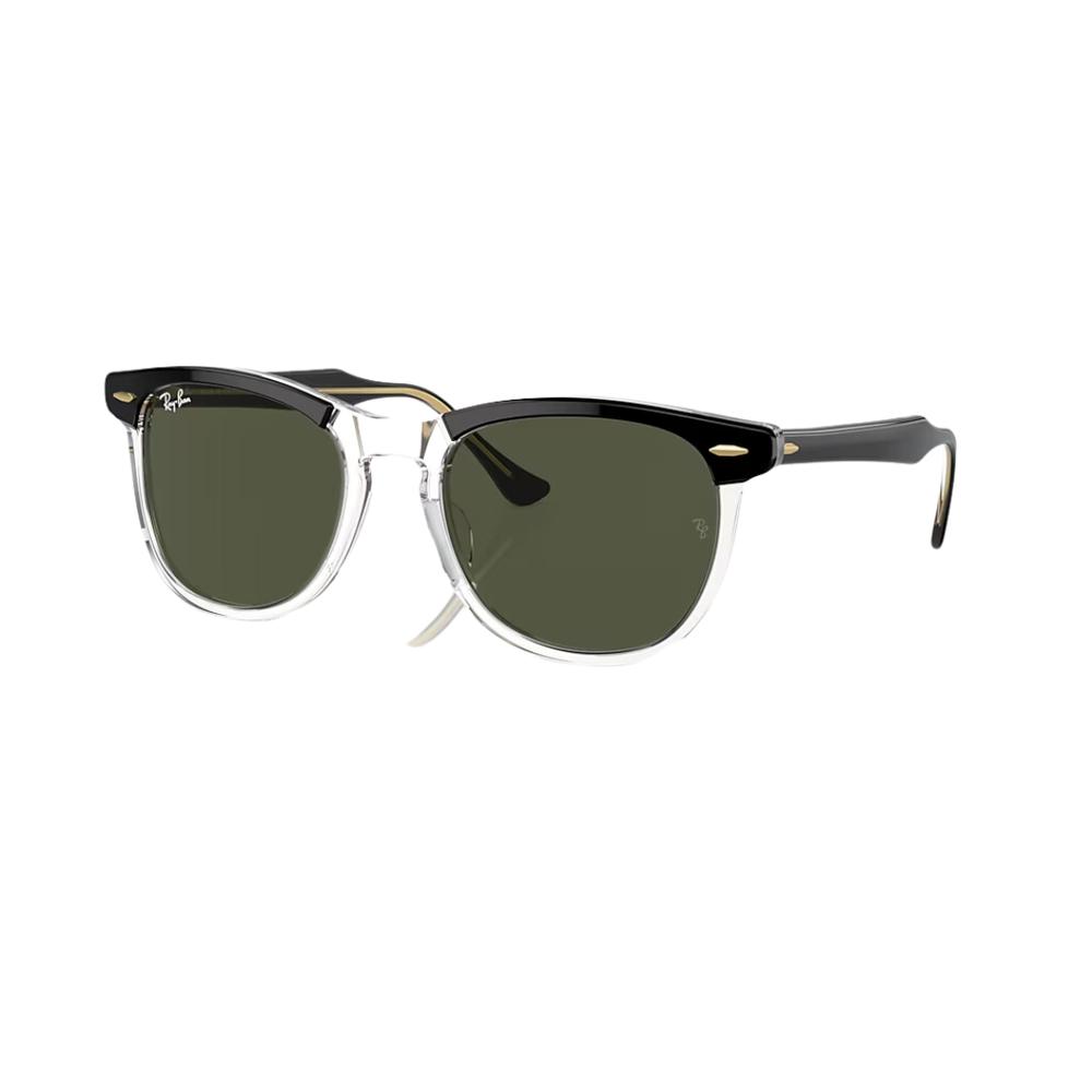 Ray-Ban Eagle Eye Sunglasses BLACKTRAN