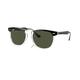 Ray-Ban Eagle Eye Sunglasses BLACKTRAN