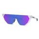 Pit Viper Showroom Sunglasses THEQUARTZ