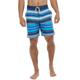 Eidon Men's Dusk Boardshorts BLUE