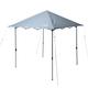 Coleman Oasis Lite 10x10 Canopy FOG