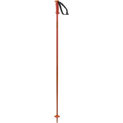Salomon Polar Ski Poles 2026