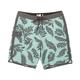 Salty Crew Men's Westerly Boardshorts JADE