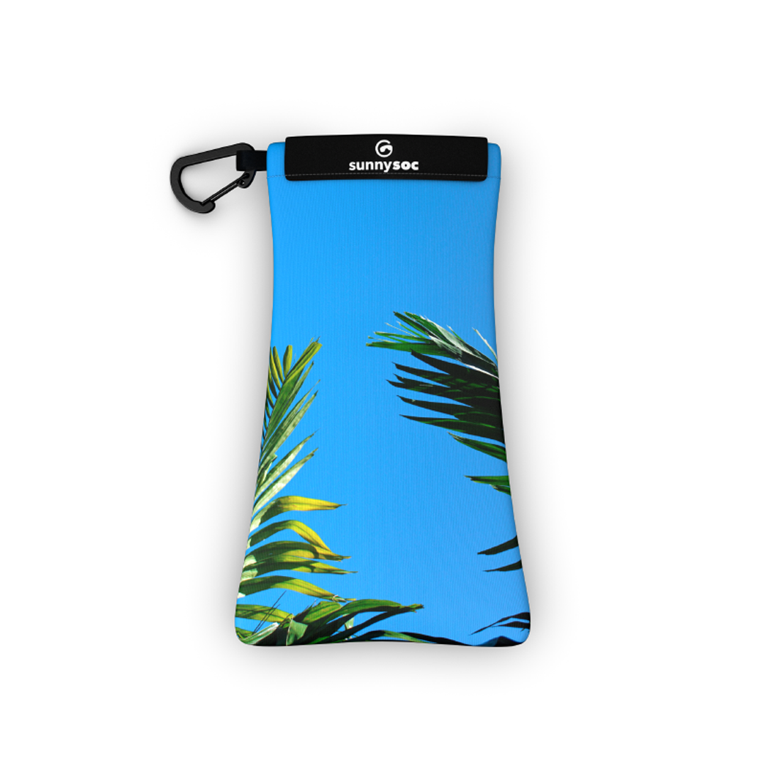 Gogglesoc Palm Sunnysoc