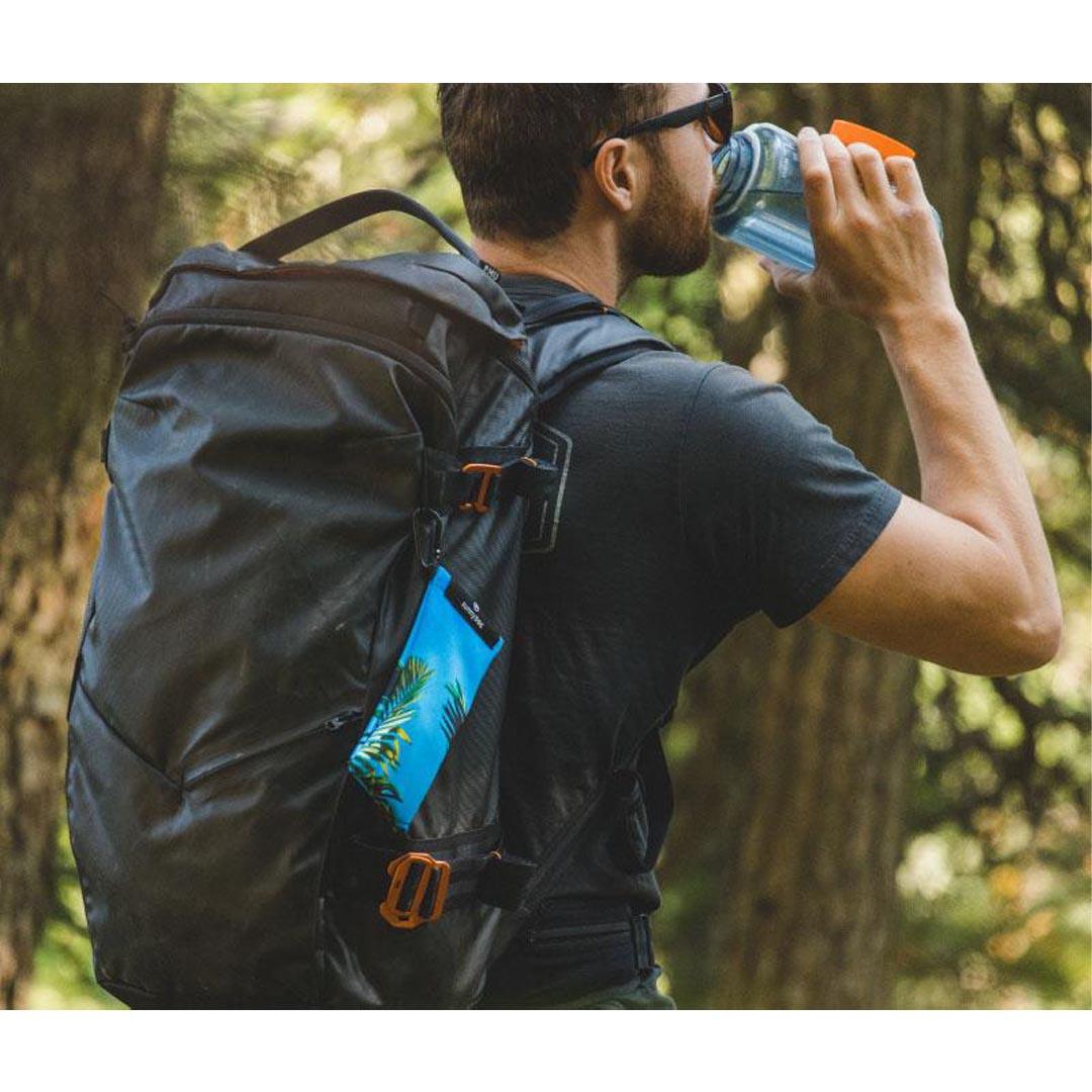 Gogglesoc Palm Sunnysoc